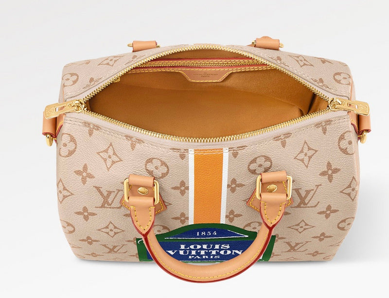 COZY - LV Bags - 029
