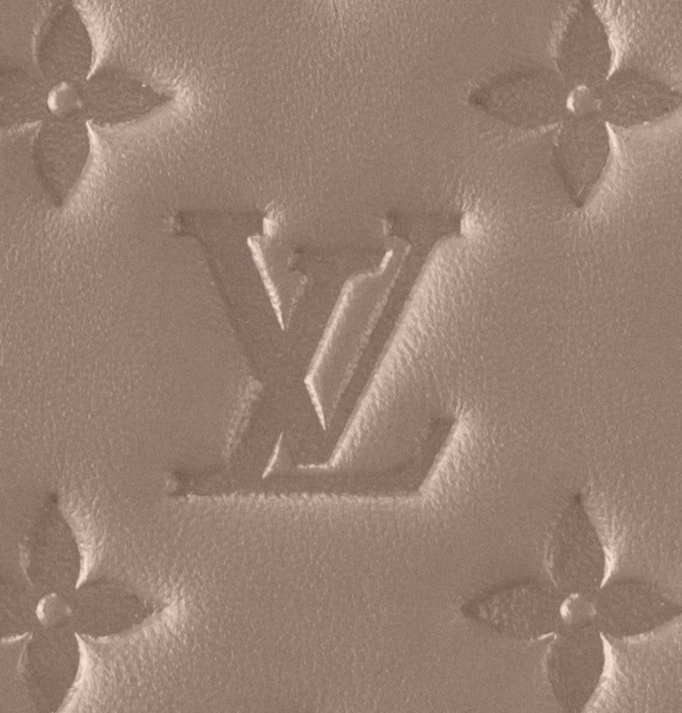 COZY - LV Bags - 1068