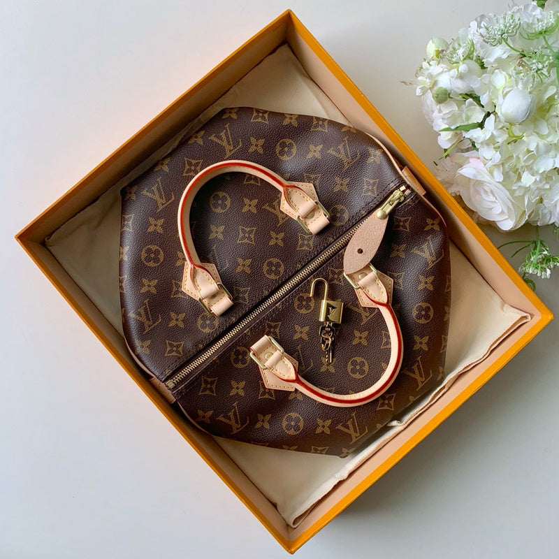 COZY - LV Bags - 2449