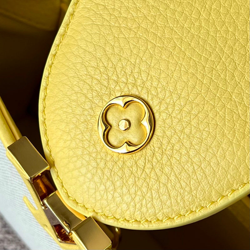 COZY - LV Bags - 1645