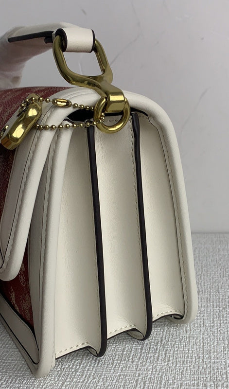 COZY BAGS - CAH Bags - 588