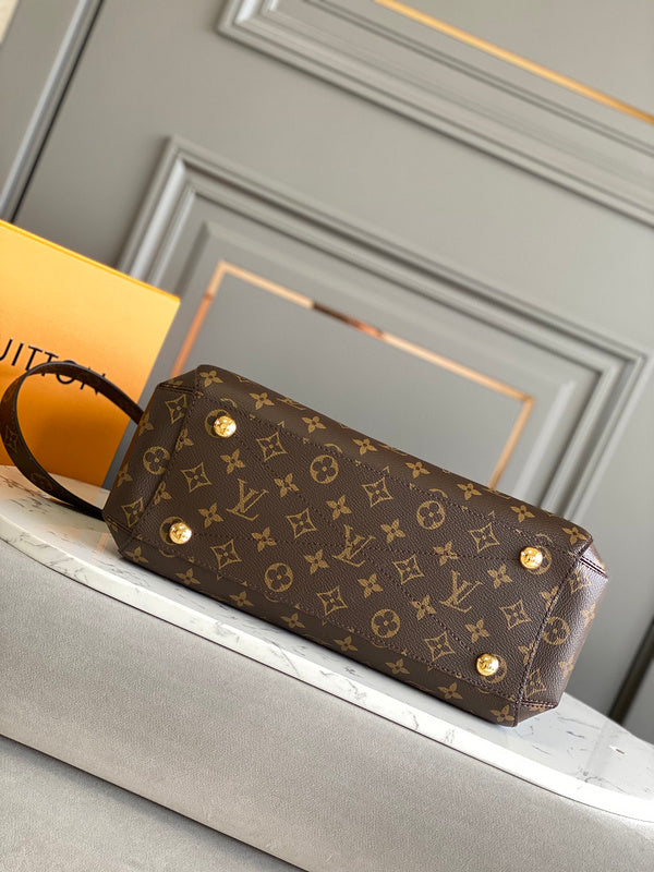 COZY - LV Bags - 1524