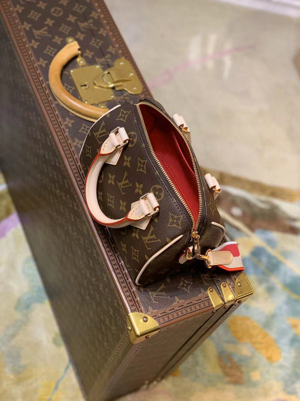 COZY - LV Bags - 2498