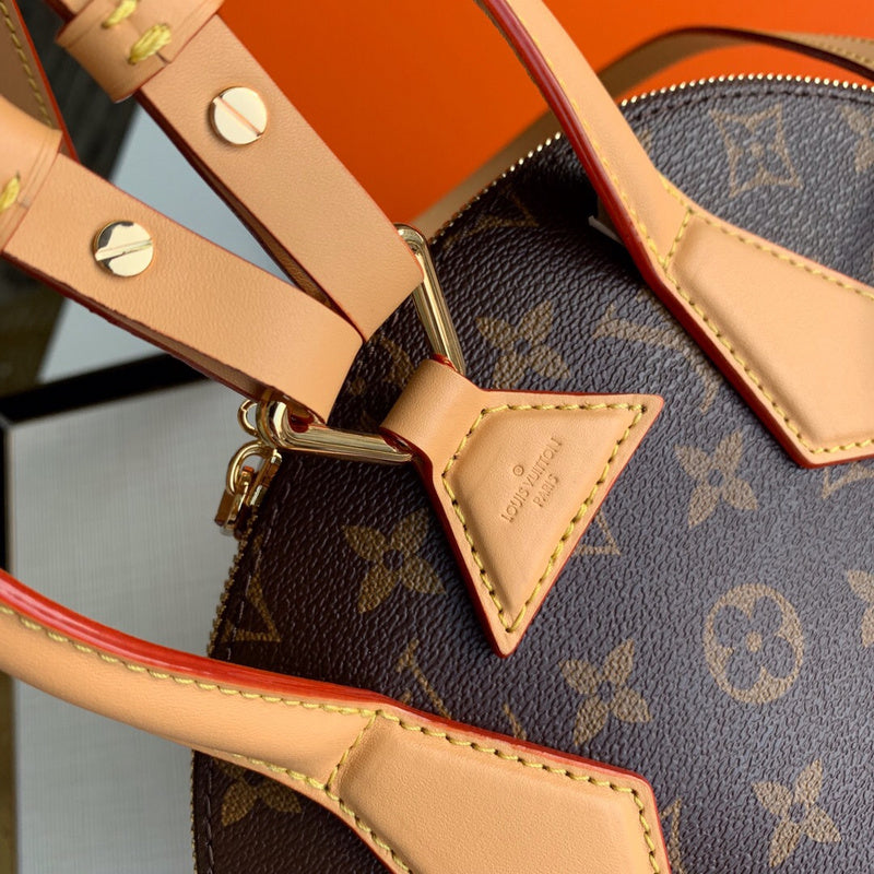 COZY - LV Bags - 5531