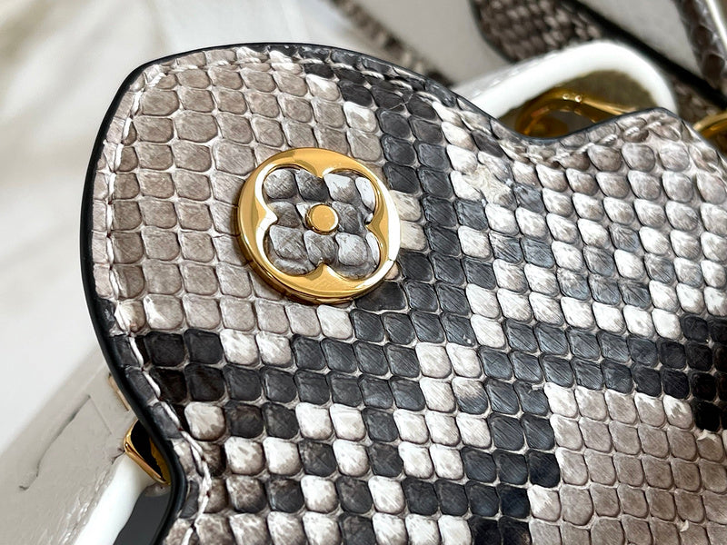 COZY - LV Bags - 2489