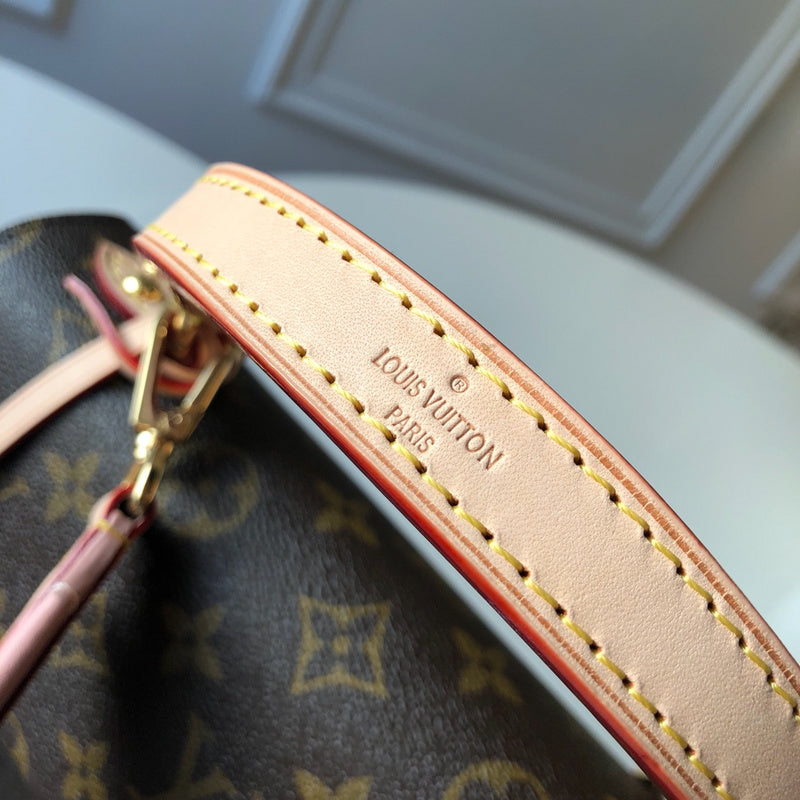 COZY - LV Bags - 2243