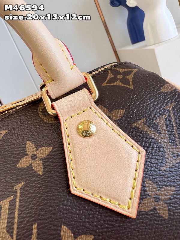COZY - LV Bags - 480