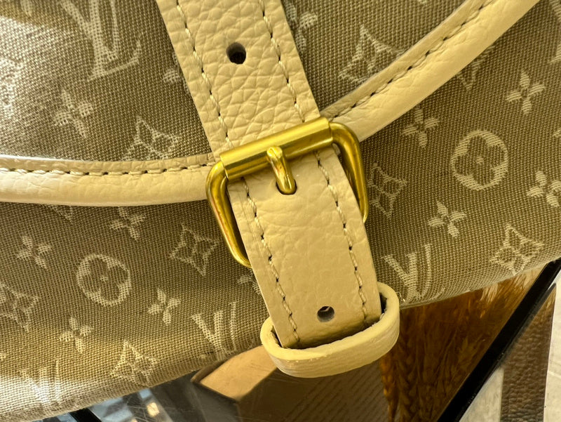 COZY - LV Bags - 1247